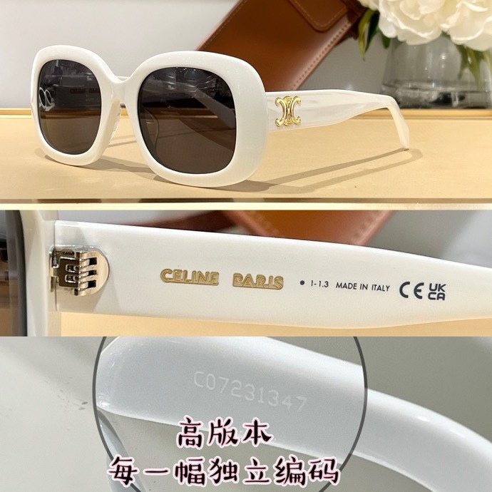 Celine Glasses smx (1206)